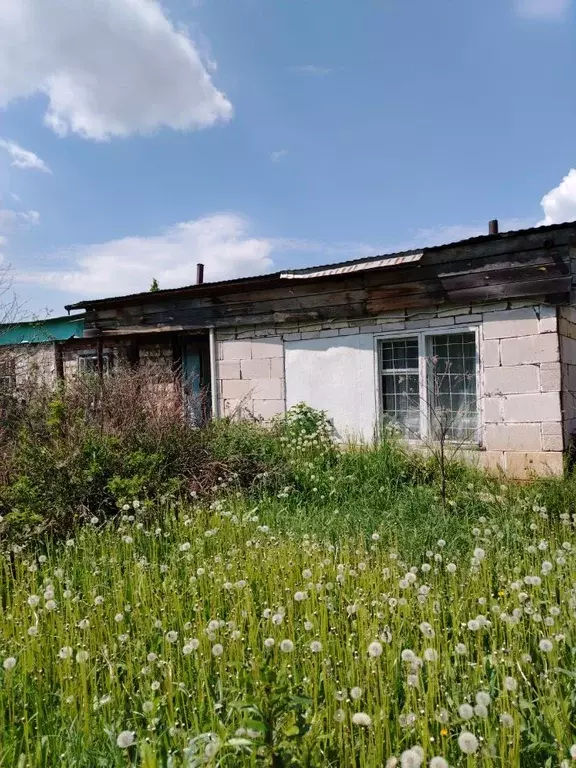 Дом в Пермский край, Ординский район, с. Опачевка Советская ул. (80 м) - Фото 0