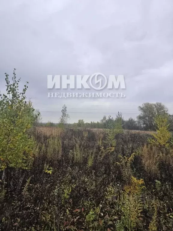 Участок в Московская область, Можайский муниципальный округ, Знаменка ... - Фото 1