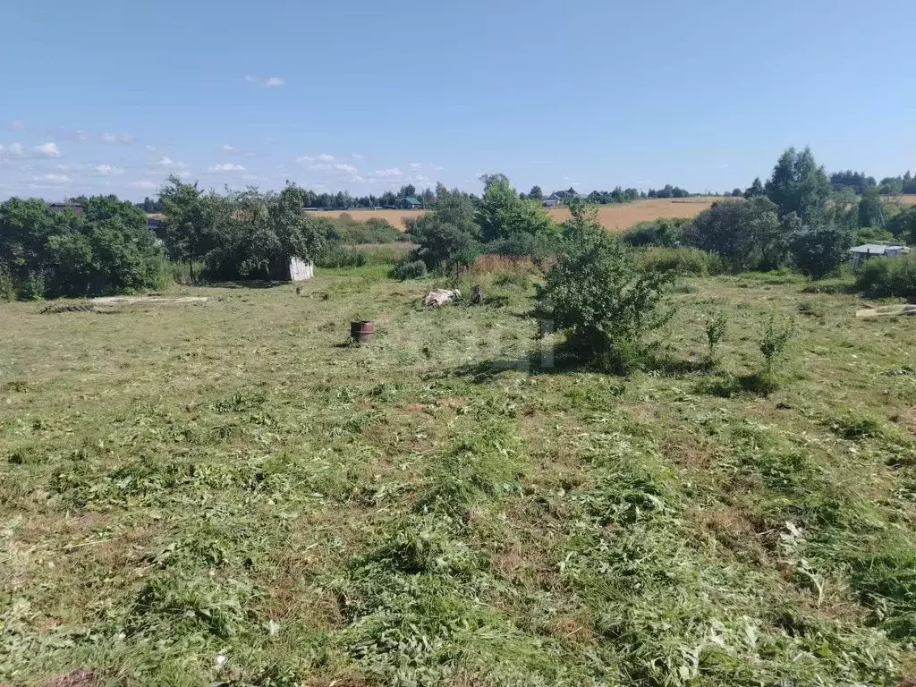 Участок в Вологодская область, д. Бабиково  (37.5 сот.) - Фото 0