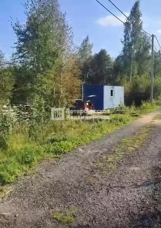 Участок в Ленинградская область, Всеволожский район, Куйвозовское ... - Фото 1