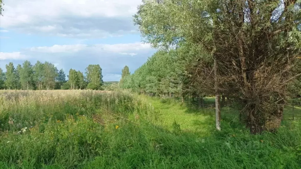 Участок в Калужская область, Мосальский район, Раменский с/пос, д. ... - Фото 2