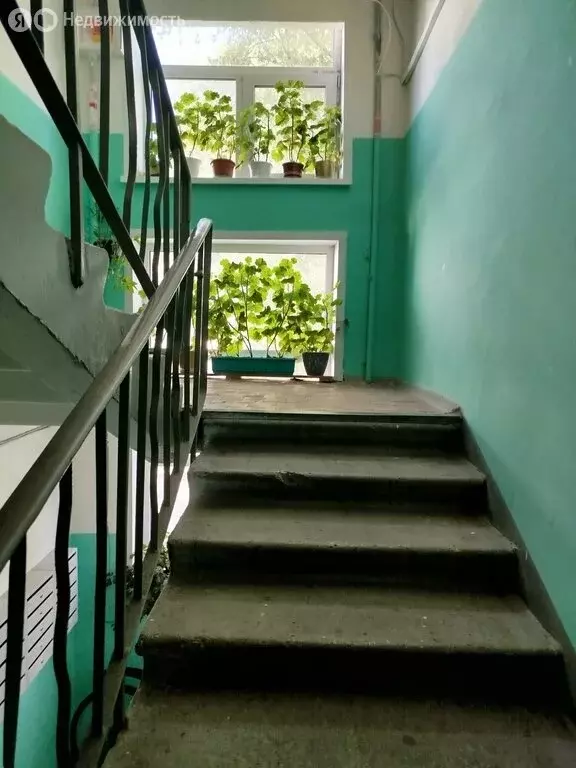 2-комнатная квартира: Брянск, Бежицкий район, Дятьковская улица (52 м) - Фото 1