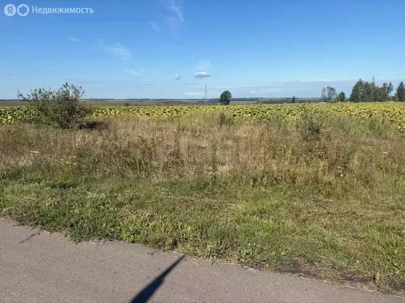 Участок в Ломовское сельское поселение, село Ломово (70 м) - Фото 2