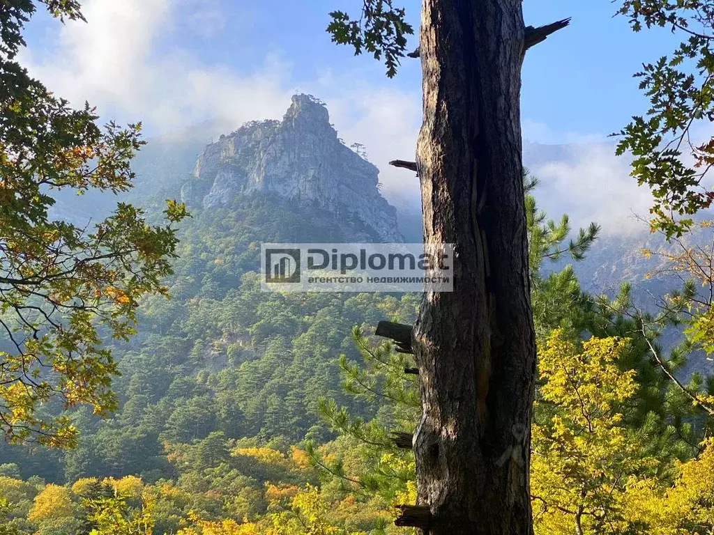 Участок в Крым, Ялта муниципальный округ, Ливадия пгт  (15.0 сот.) - Фото 1