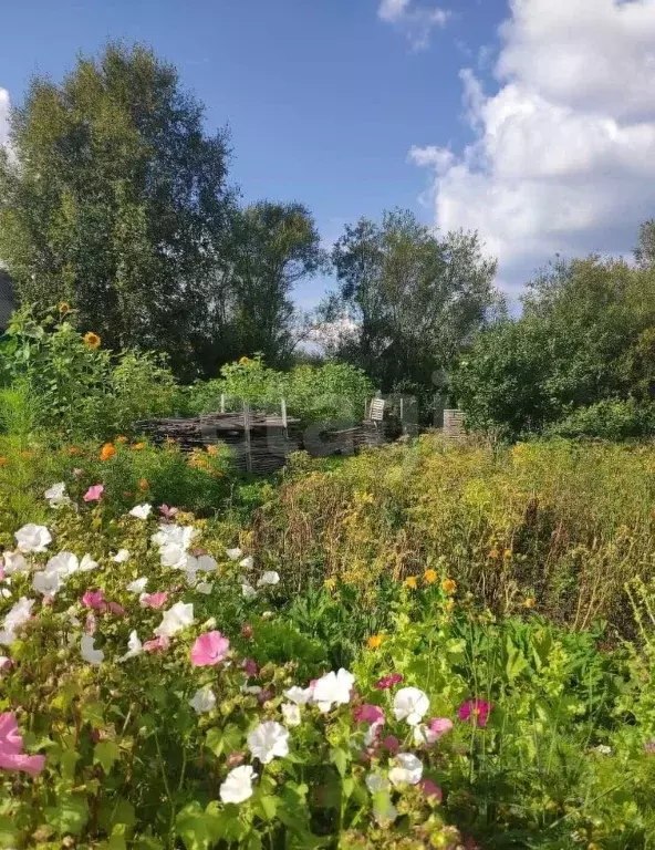 Участок в Вологодская область, Вологда Парус садоводческое ... - Фото 1