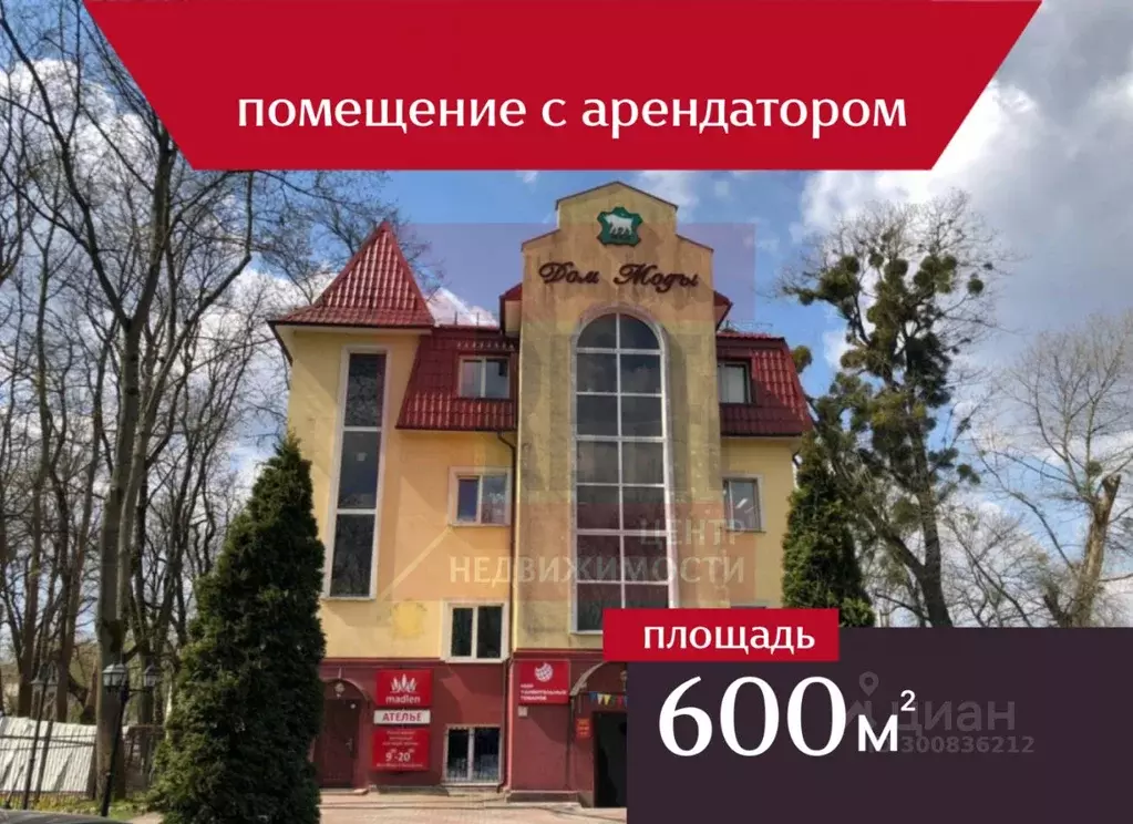 Офис в Калининградская область, Калининград ул. Горького, 69 (600 м) - Фото 1