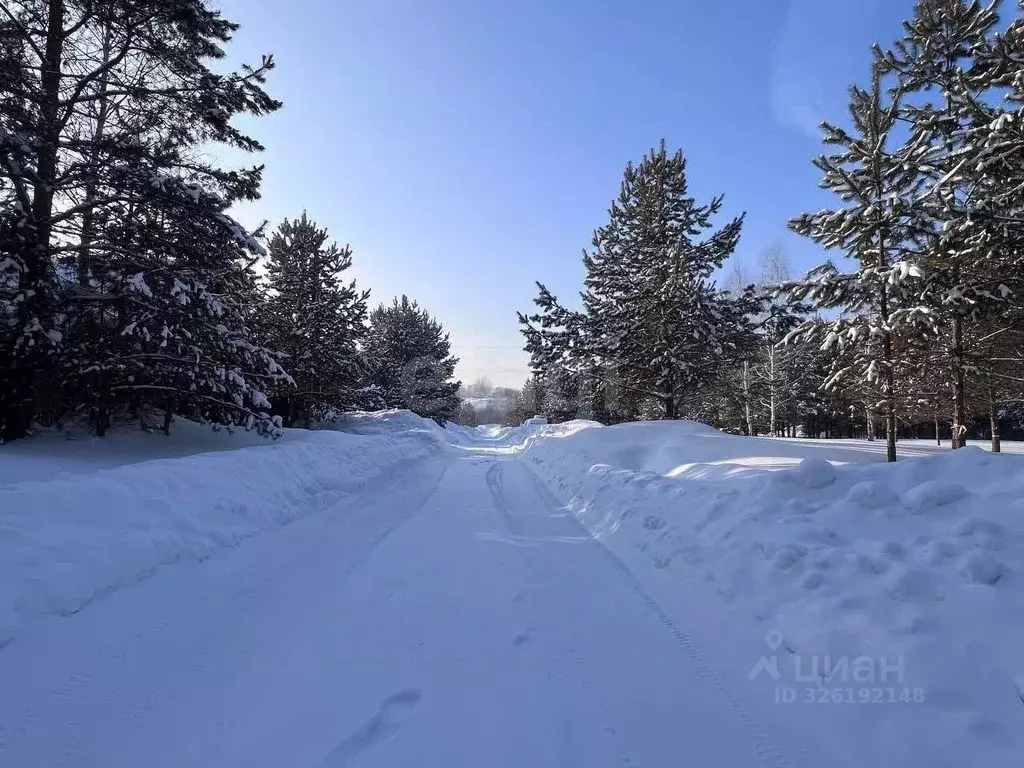 Участок в Новосибирская область, Новосибирский район, Барышевский ... - Фото 1