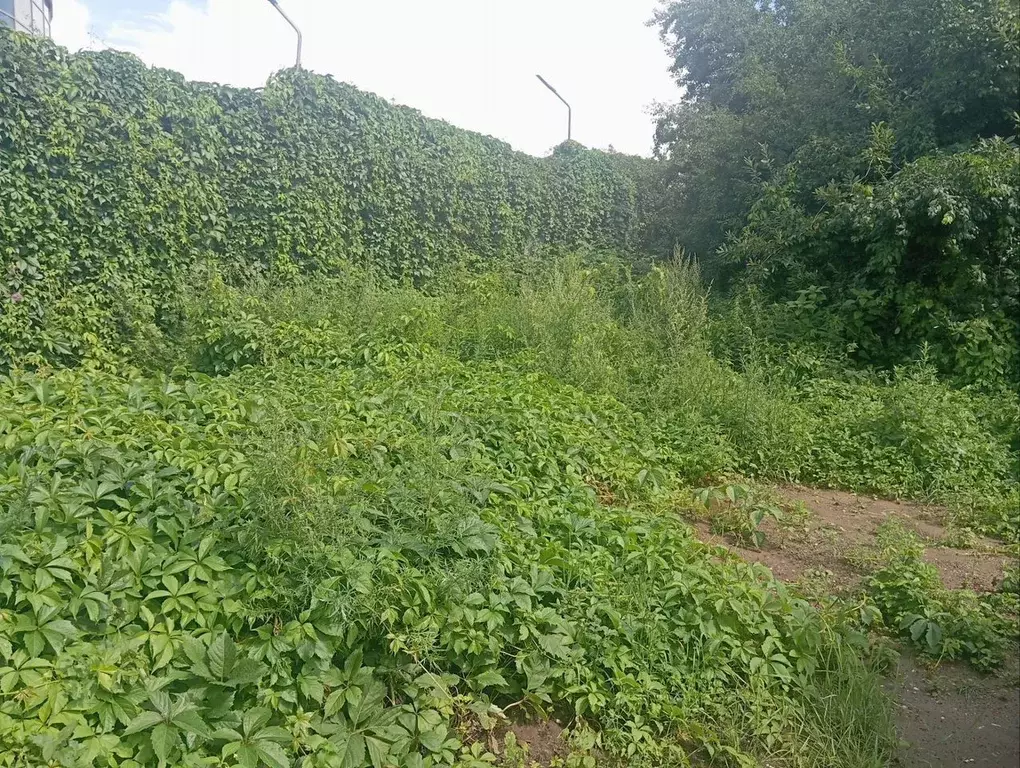 Участок в Москва Мосрентген поселение, д. Дудкино, Дары Природы СНТ,  ... - Фото 1