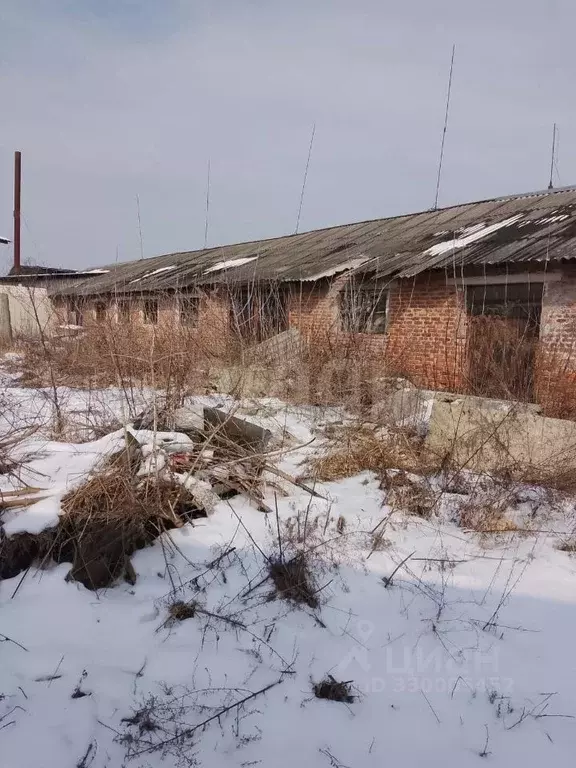 Склад в Брянская область, Жуковка ул. Строителей, 1 (380 м) - Фото 1
