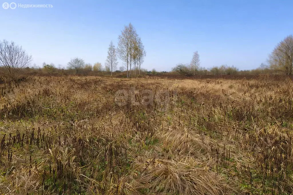 Участок в Добрунское сельское поселение, СДТ БЭМЗ (6 м) - Фото 1