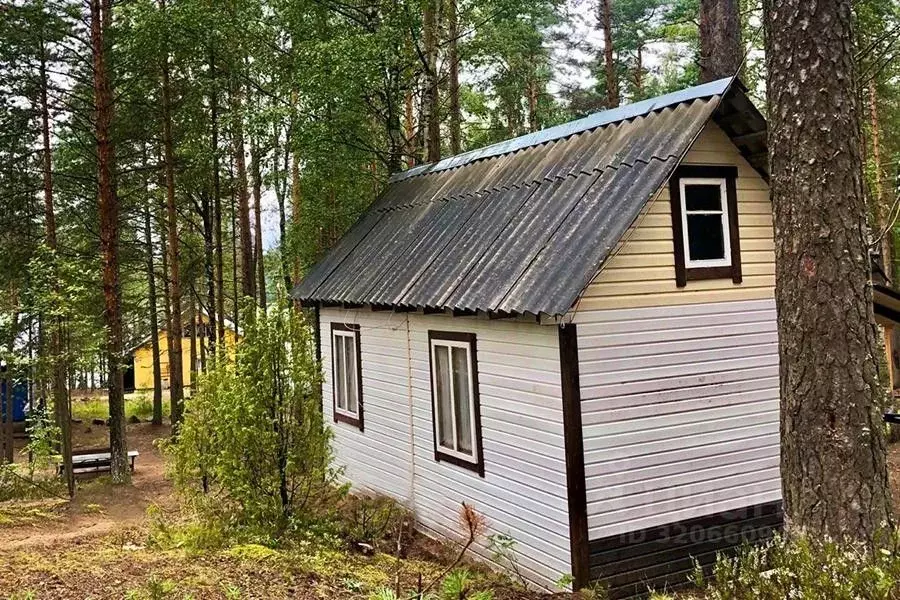 Дом в Курская область, Касторенский район, с. Орехово  (24 м) - Фото 0