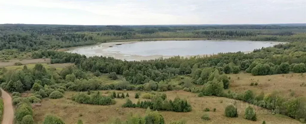 Участок в Тверская область, Осташковский муниципальный округ, д. ... - Фото 0