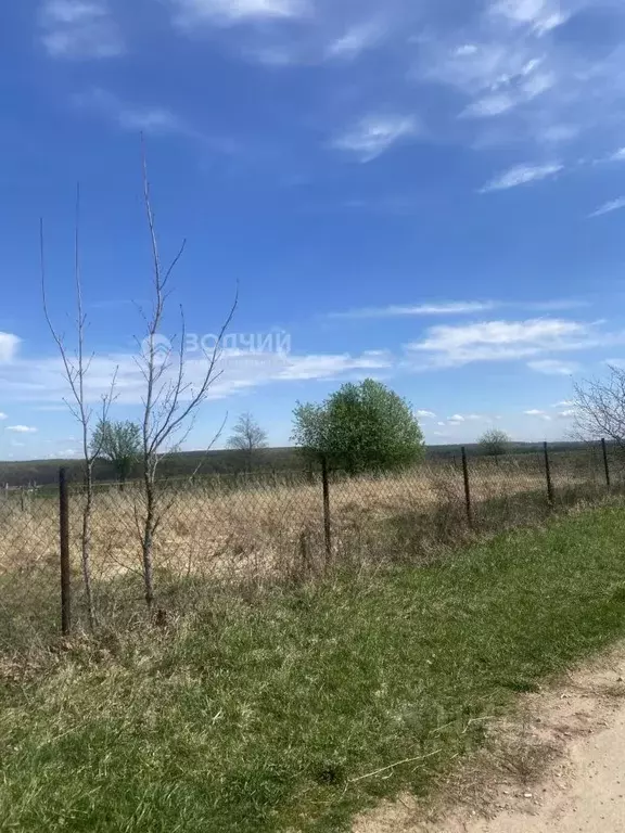Участок в Чувашия, Моргаушский муниципальный округ, д. Тренькино  ... - Фото 1