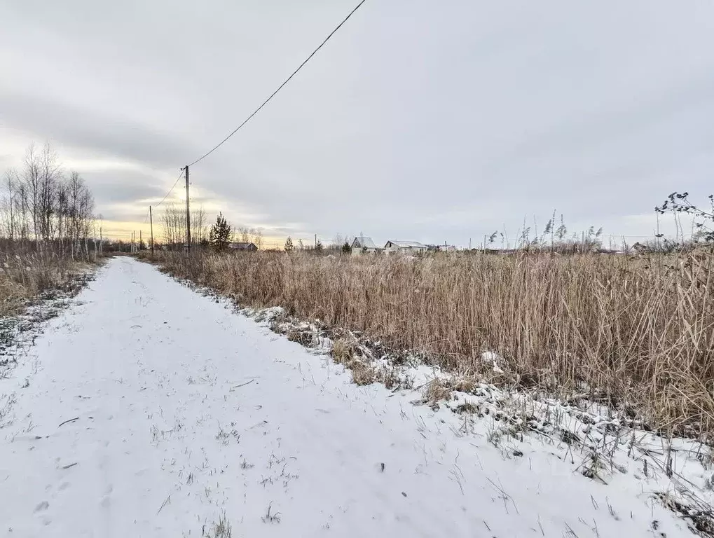 Участок в Тюменская область, Нижнетавдинский муниципальный округ, ... - Фото 1