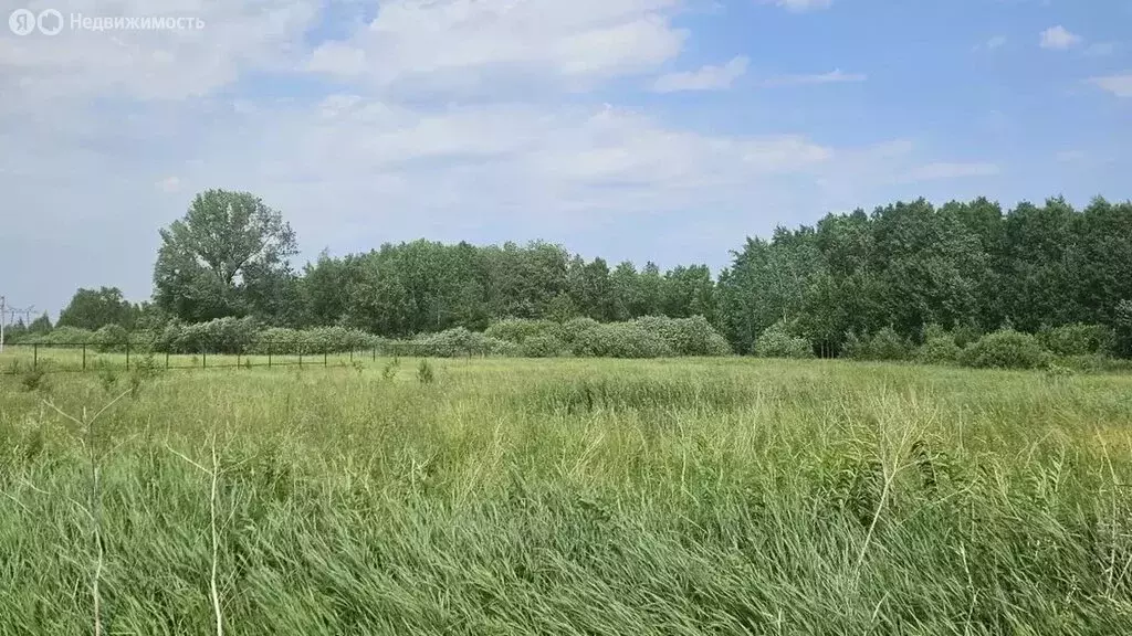 Участок в Тюменский район, село Борки (24.5 м) - Фото 0