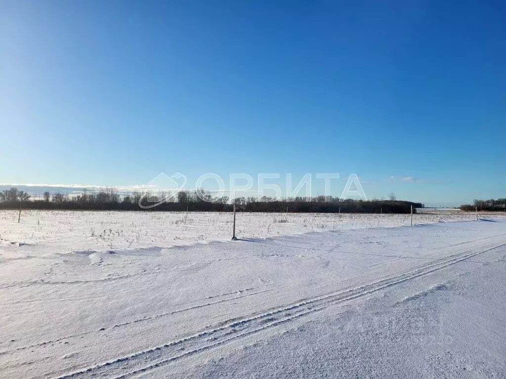 Участок в Тюменская область, Тюменский район, с. Щербак  (5.25 сот.) - Фото 0