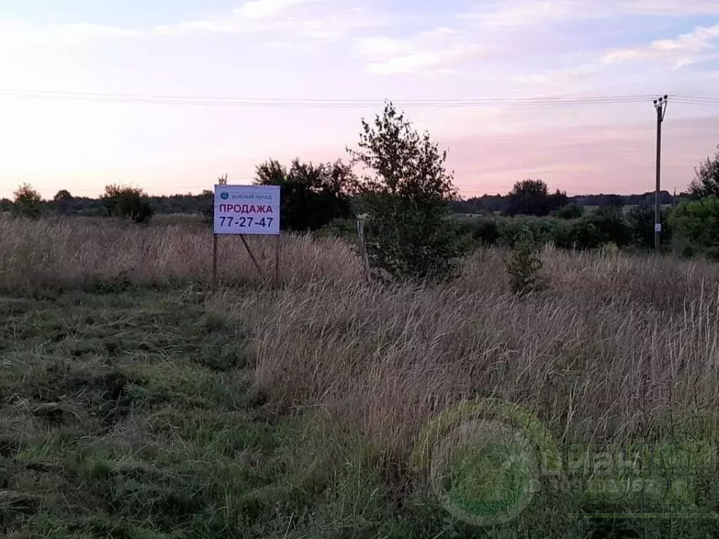 Участок в Калининградская область, Зеленоградский муниципальный округ, ... - Фото 0