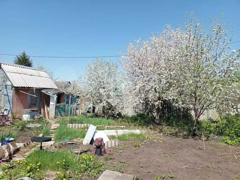 Участок 5,2 сот. (СНТ, ДНП) - Фото 1