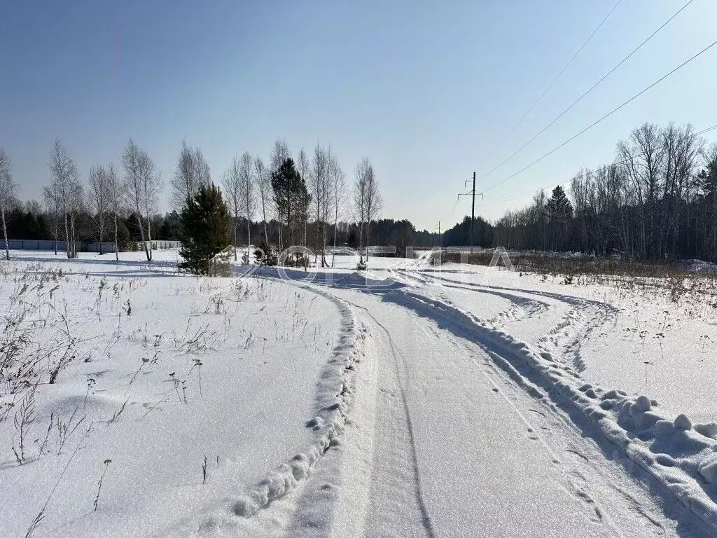 Участок в Тюменская область, Тюменский муниципальный округ, с. Ембаево ... - Фото 2