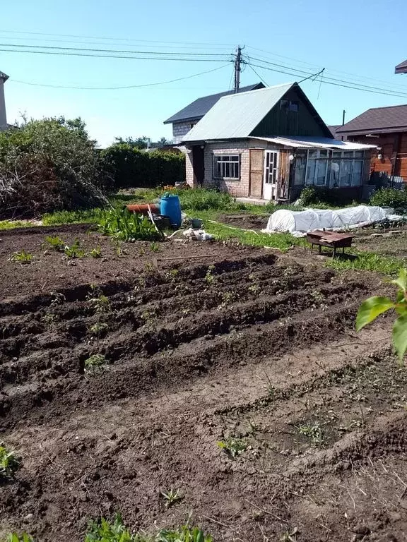 Участок в Оренбургская область, Оренбургский район, Нежинский ... - Фото 0