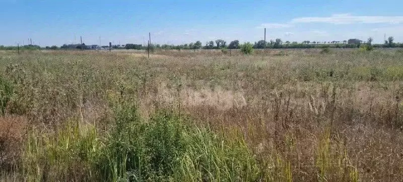 Участок в Ростовская область, Аксайский район, Мишкинское с/пос, Киров ... - Фото 1