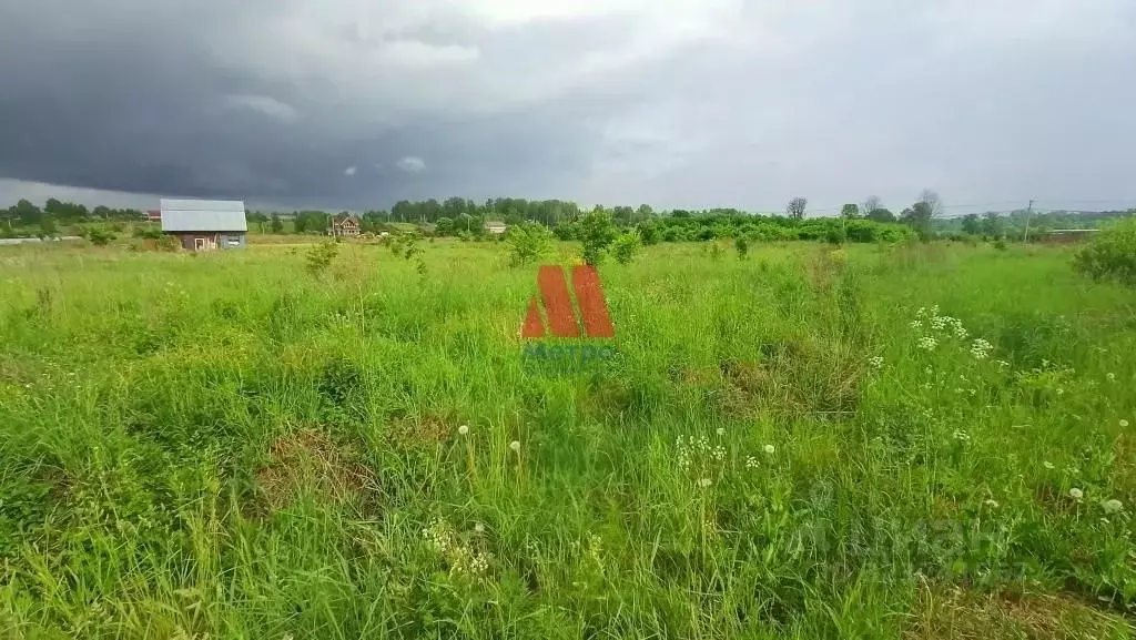 Участок в Ярославская область, Ярославский муниципальный округ, д. ... - Фото 2