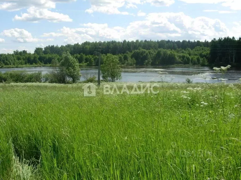 Участок в Владимирская область, Судогодский район, Лавровское ... - Фото 0