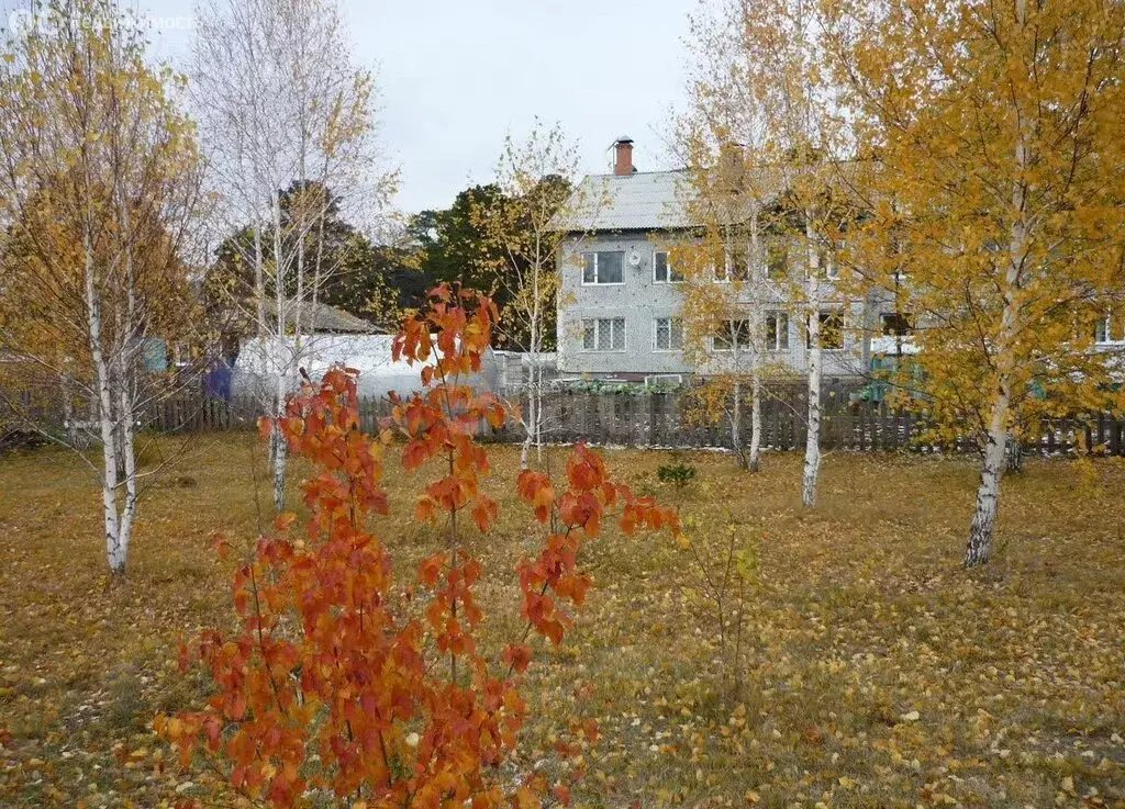 1-комнатная квартира: село Красноярка, Лесношкольная улица, 1 (36 м) - Фото 1