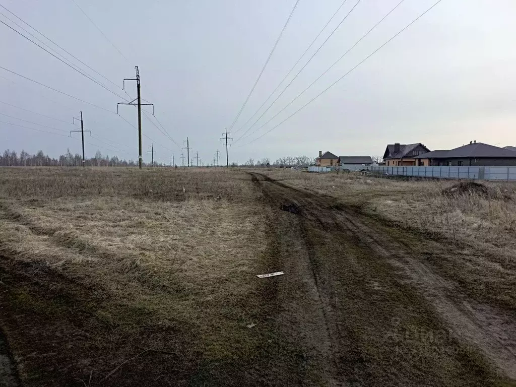 Участок в Тамбовская область, Тамбовский муниципальный округ, пос. ... - Фото 1