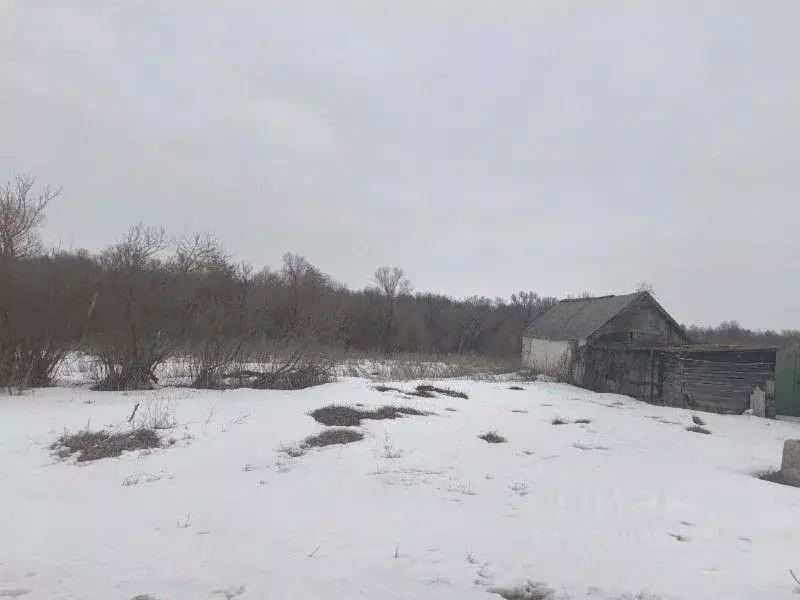 Дом в Воронежская область, Хохольский рп ул. Колхозная (68 м) - Фото 1