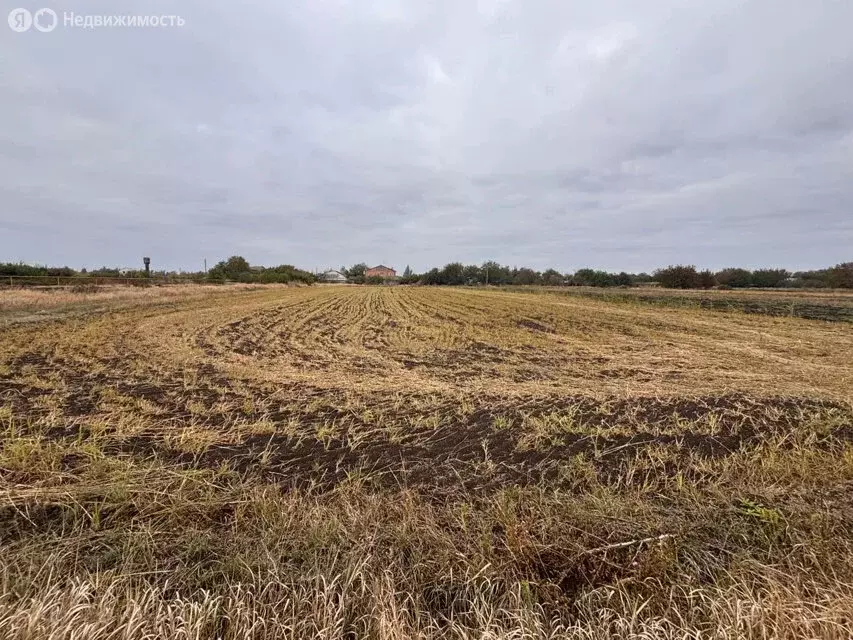 Участок в хутор Русский Колодец, улица Чехова (16 м) - Фото 0