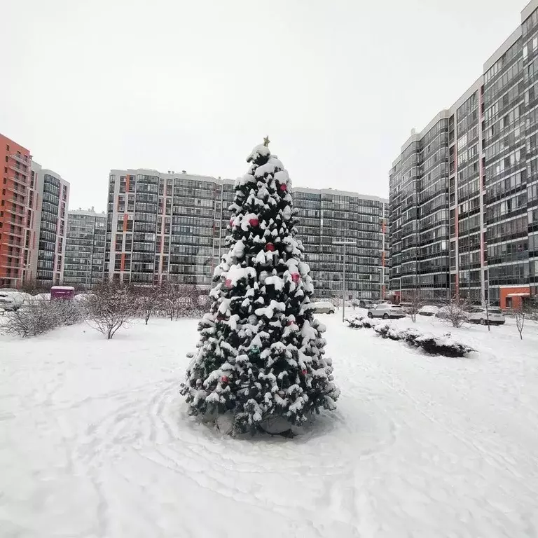 1-к кв. Ленинградская область, Всеволожский район, пос. Бугры бул. ... - Фото 1