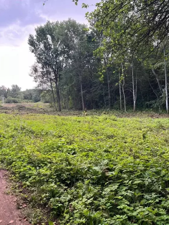Участок в Ленинградская область, Лужский район, Скребловское с/пос, д. ... - Фото 2