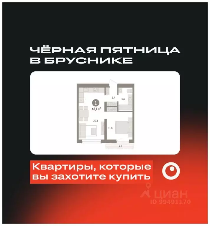 1-к кв. Новосибирская область, Новосибирск ул. Аэропорт, 88 (43.07 м) - Фото 0