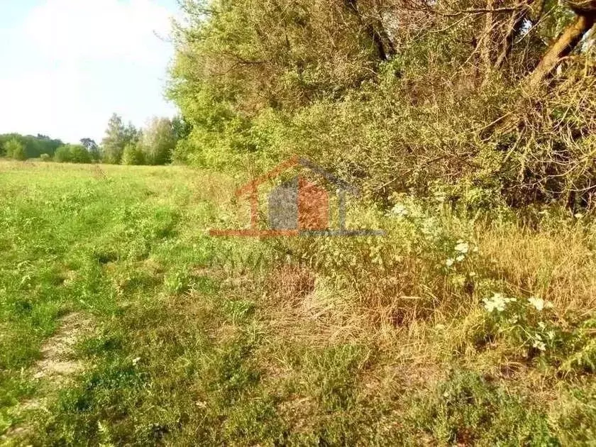 Участок в Белгородская область, Старооскольский городской округ, с. ... - Фото 2