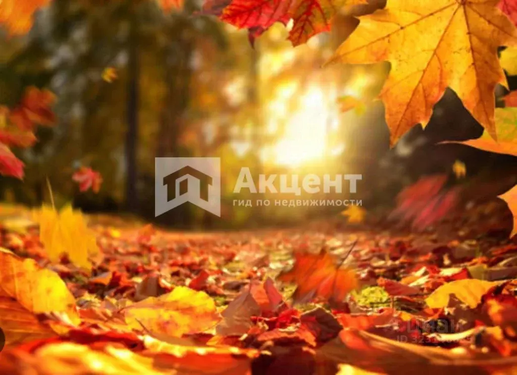 3-к кв. Ивановская область, Кохма ул. Ивановская, 38/3 (50.0 м) - Фото 1