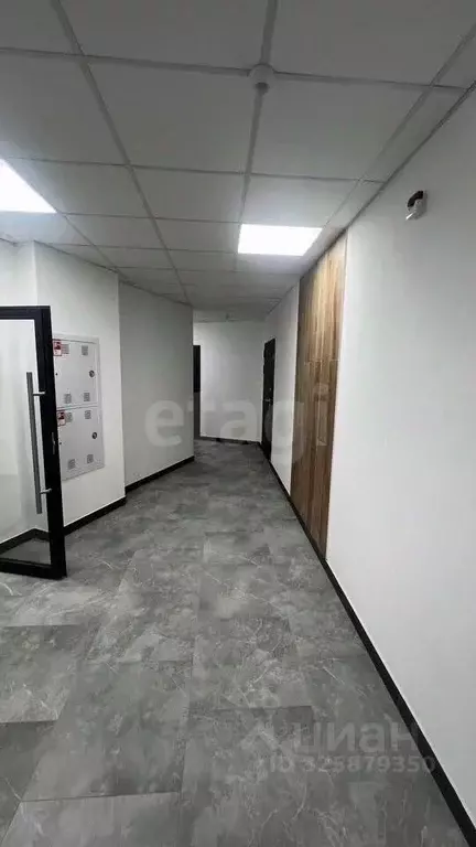 Студия Новосибирская область, Новосибирск Ипподромская ул., 12 (26.0 ... - Фото 2