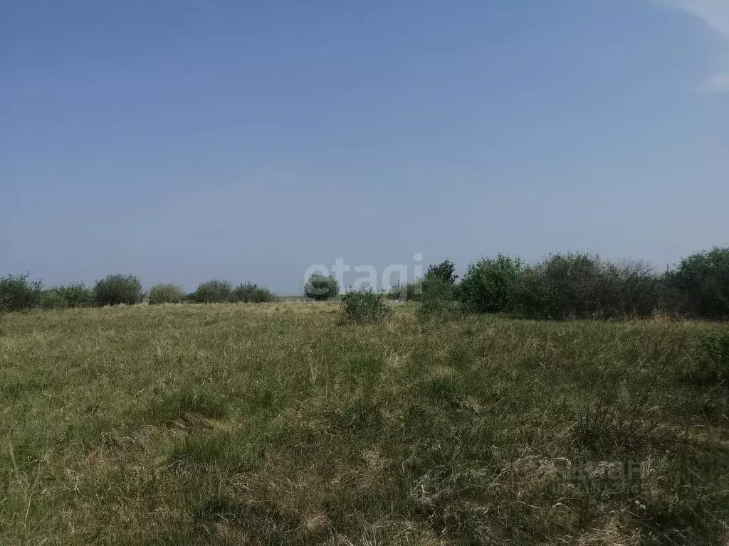 Участок в Челябинская область, с. Кунашак ул. Дружбы (12.6 сот.) - Фото 0