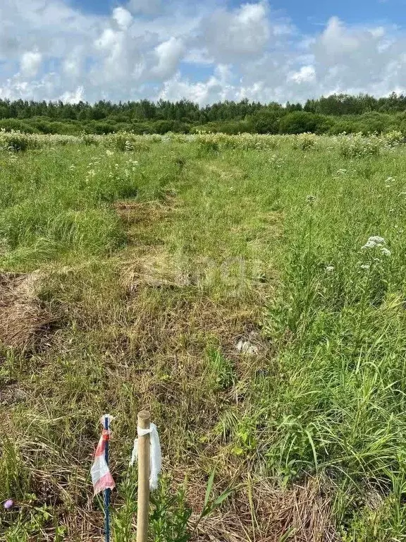 Участок в Нижегородская область, Богородский муниципальный округ, д. ... - Фото 0