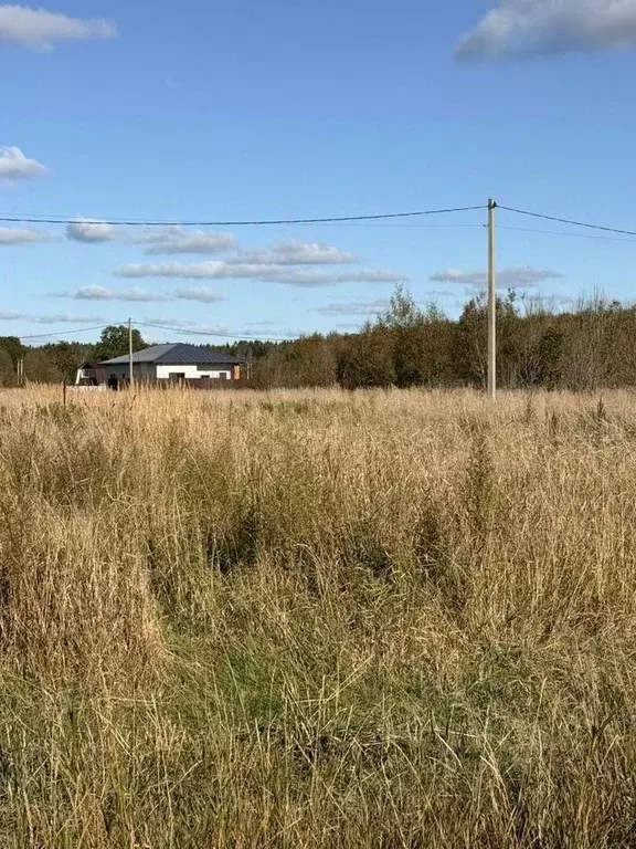 Участок в Ленинградская область, Гатчинский муниципальный округ, д. ... - Фото 2