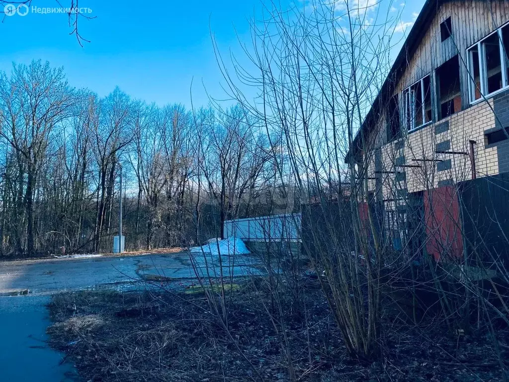 Помещение свободного назначения (80.7 м) - Фото 2