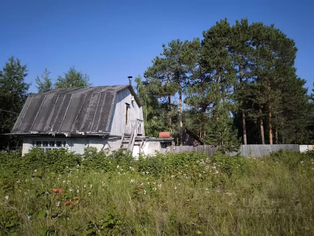 Дом в Ханты-Мансийский АО, Сургут Энергостроитель садовое ... - Фото 1