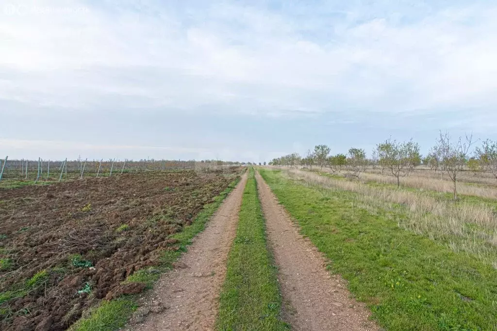 Участок в Бахчисарайский район, село Тенистое (366 м) - Фото 2