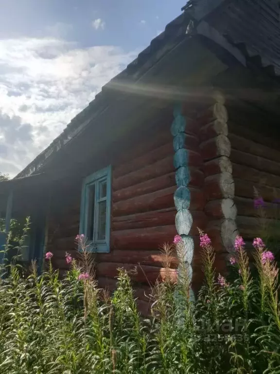 Дом в Новгородская область, Валдайский район, Яжелбицкое с/пос, ... - Фото 1