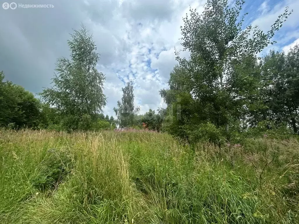 Участок в Московская область, городской округ Коломна, село Пруссы (15 ... - Фото 2