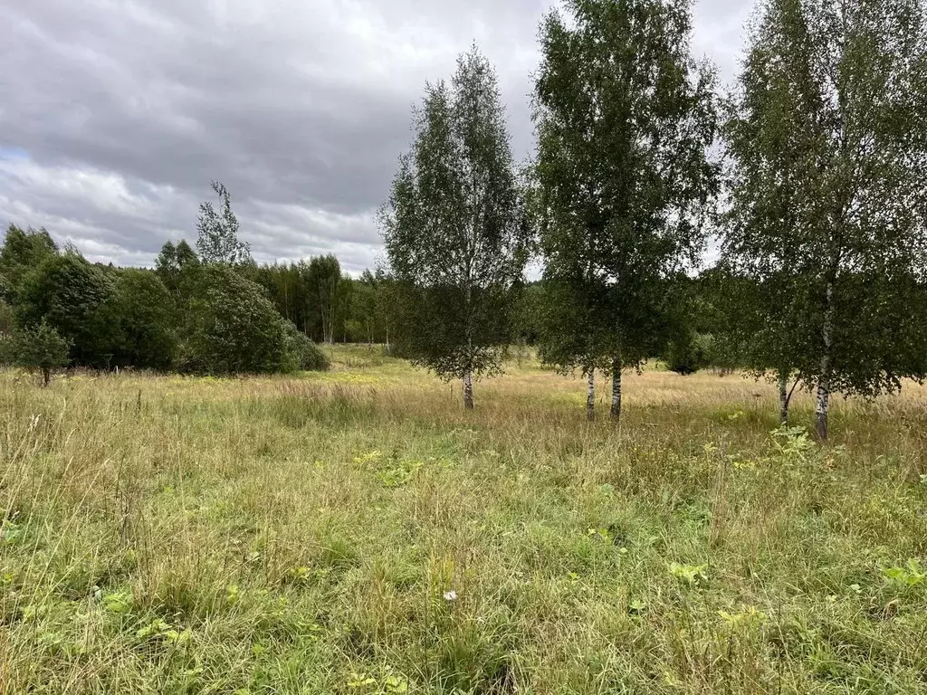 Участок в Московская область, Дмитровский городской округ, д. Доронино ... - Фото 0