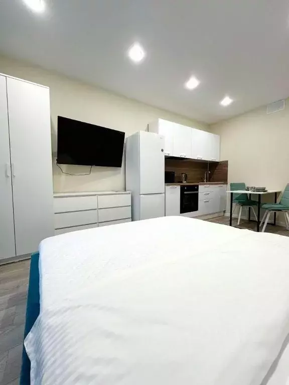 Студия Краснодарский край, Сочи ул. Искры, 88к3 (27.0 м) - Фото 2