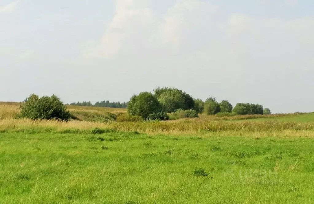 Участок в Владимирская область, Александровский район, д. Ям  (660.0 ... - Фото 0