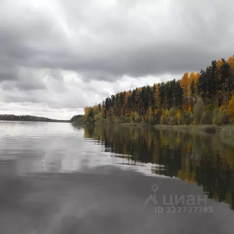 Участок в Рязанская область, Михайловский муниципальный округ, с. ... - Фото 1