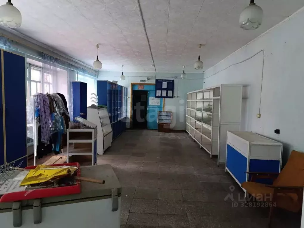 Торговая площадь в Амурская область, Благовещенский район, с. ... - Фото 1